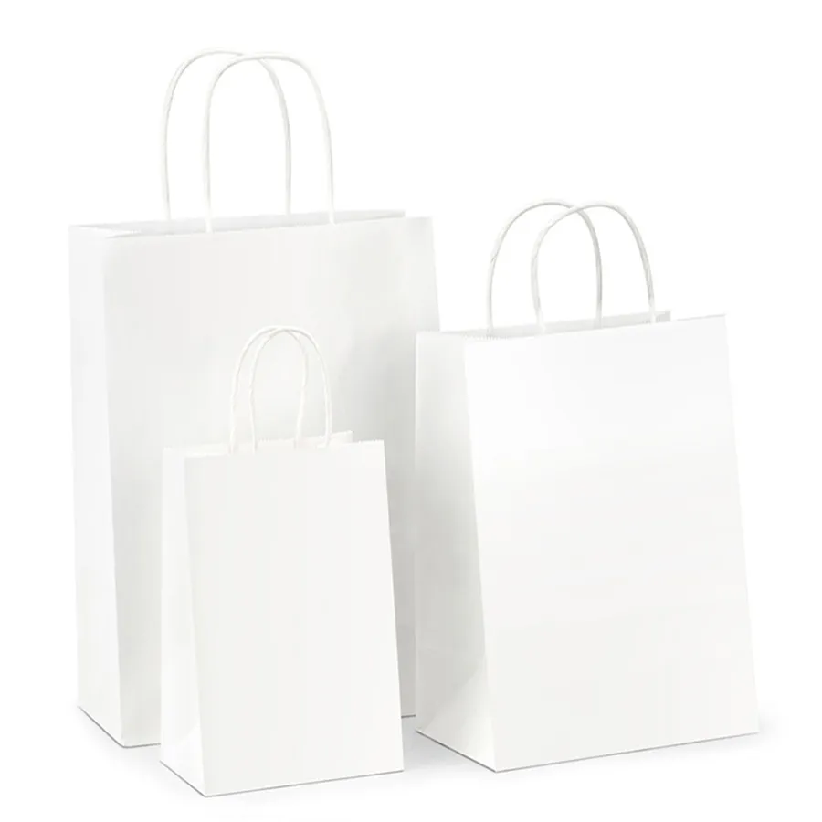 Printable Natural Kraft Paper Bags in Bulks with Twisted Handles India Kraft Paper Bag Manufacturers Shopping Bag