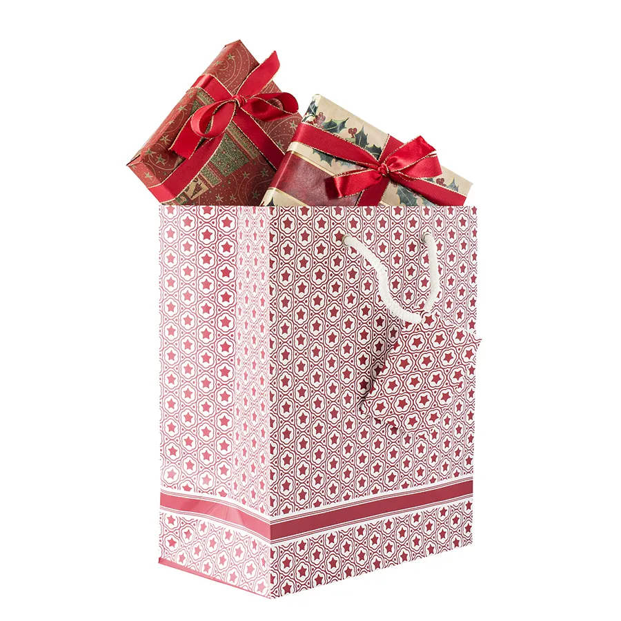 Christmas Bags for Gift Recyclable Kraft Paper Bag Holiday Gift Packaging Bag Manufacturers