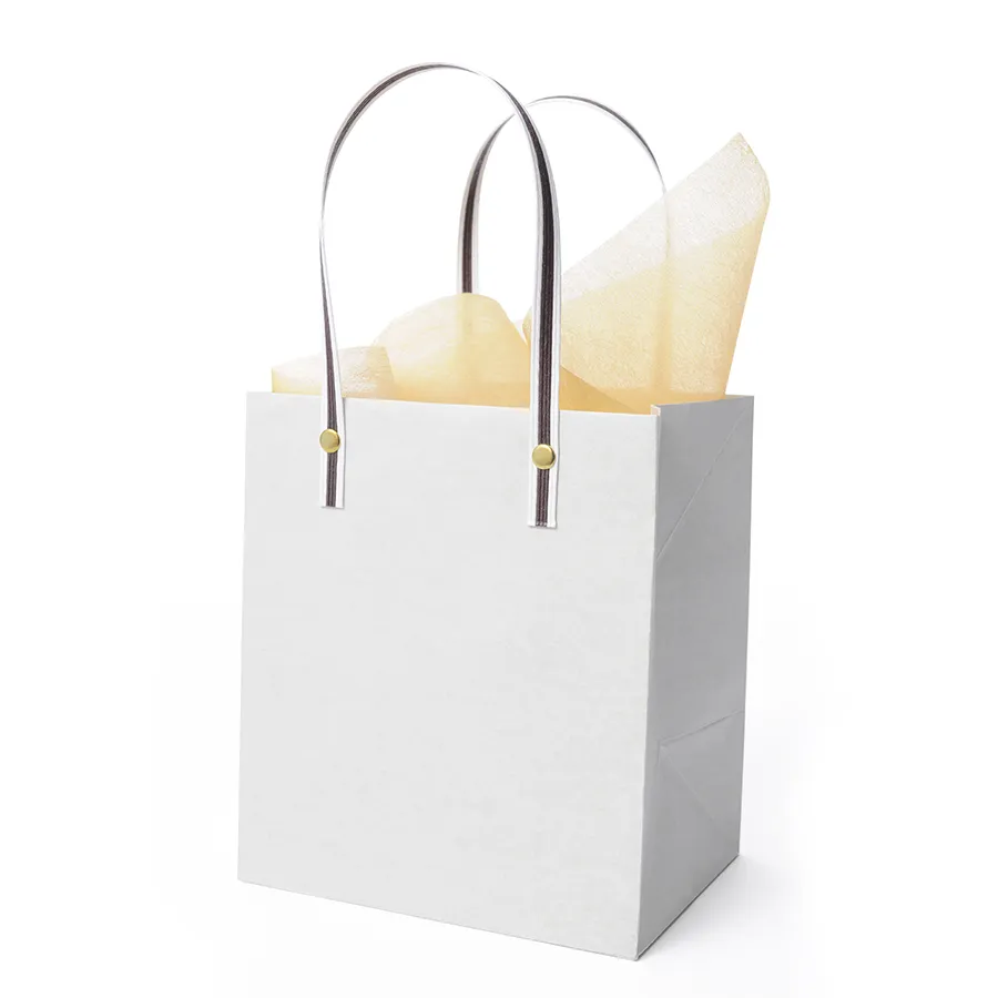 Custom Printed Laminated Shopping Gift Packaging Paper Bag with Logo
