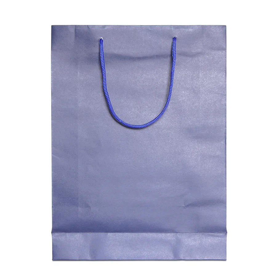 Custom Printed Your Own Logo White Brown Kraft Gift Craft Shopping Paper Bag with Handles