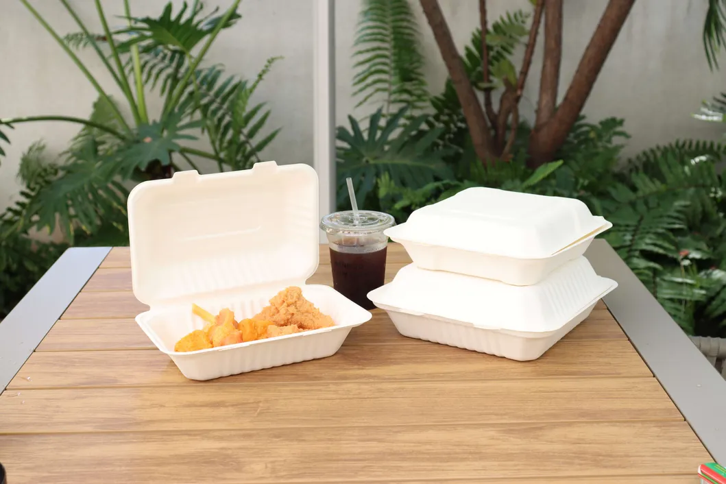 High Quality Bagasses Box Customized Disposable Food Packaging Lunch Box Takeaway Delivery