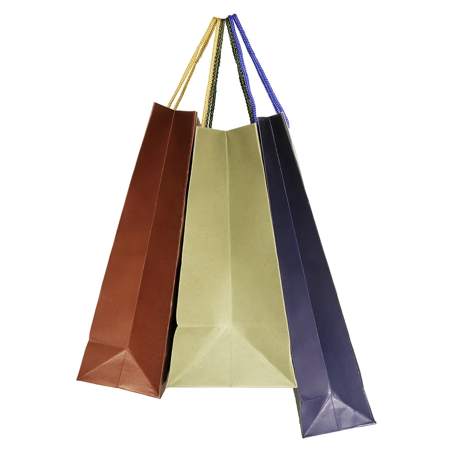 Wholesale Custom Printing Luxury Personalized Beautiful Reusable Degradable Eco-Friendly Carrier Shopping Gift Kraft White Card Paper Bag with Portable Handle