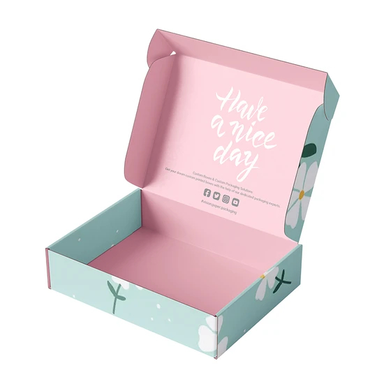 Wholesale Luxury Eco-Friendly Aircraft Packaging Customized Color Vegetable Fruit Paper Corrugated Printed Logo Shoe Cloth Shipping Gift Packaging Cardboard Box