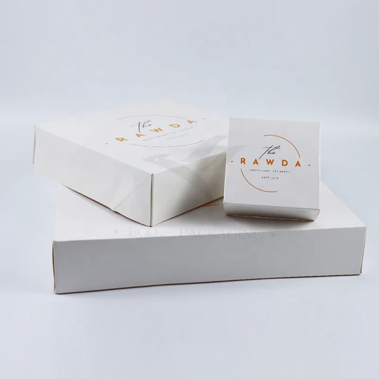 Wholesale Luxury Eco-Friendly Aircraft Packaging Customized Color Vegetable Fruit Paper Corrugated Printed Logo Shoe Cloth Shipping Gift Packaging Cardboard Box