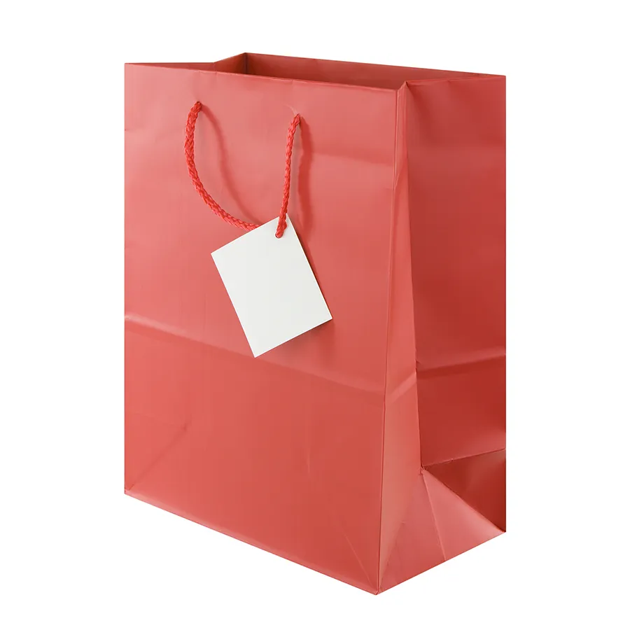 Wholesale Custom Printing Luxury Personalized Beautiful Multi-Color Degradable Eco-Friendly Packaging Shopping Gift Kraft White Card Food Paper Bag with Handle