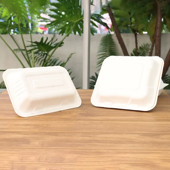 Sugarcane Bagasse Biodegradable Sushi Takeaway Box Rectangular Disposable Food Packing for Fast Food