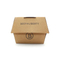 Custom Eco Fast Food Hamburger Takeaway Biodegradable Kraft Box Disposable Printed