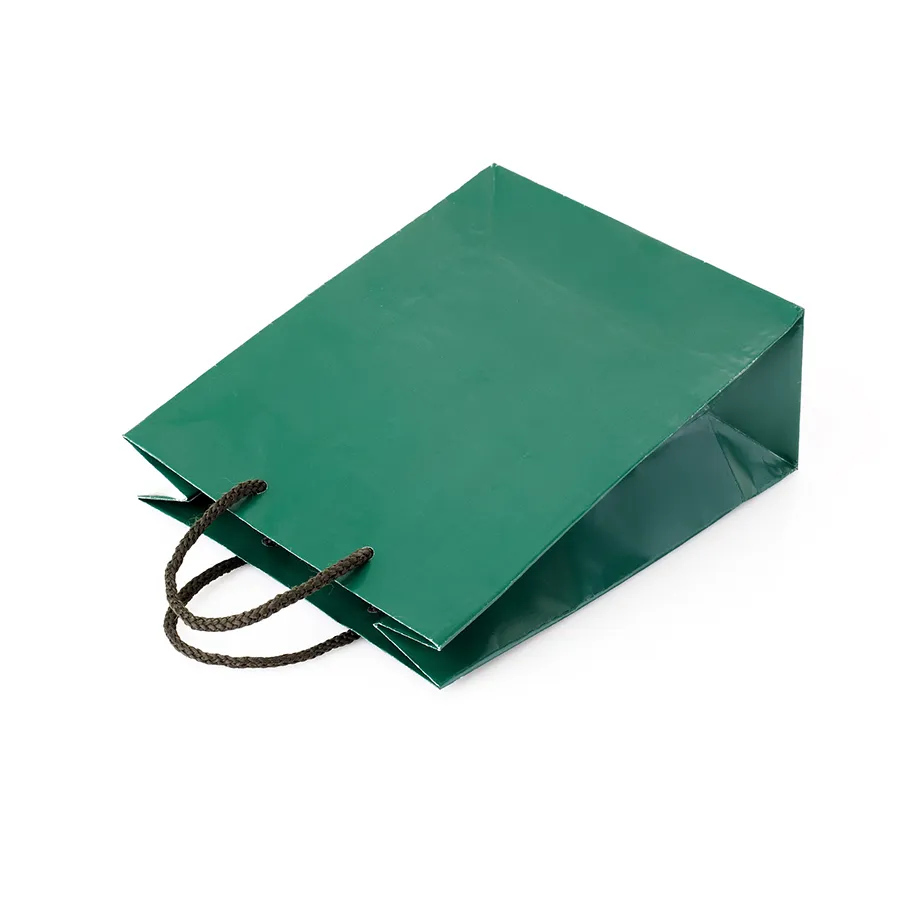 Clothing Shopping Bag with Handles Paper Bag with Logo Print Custom Personalized Custom Paper Bag