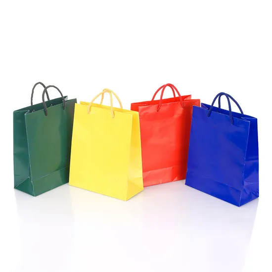 Clothing Shopping Bag with Handles Paper Bag with Logo Print Custom Personalized Custom Paper Bag