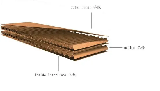 Printing Biodegradable Pizza Box Paper Clamshell Pizza Box Reusable Pizza Box