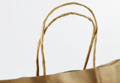 Foldable Bottom Adjustable Capacity Christmas Paper Shopping Bag for Fitness Food Bags