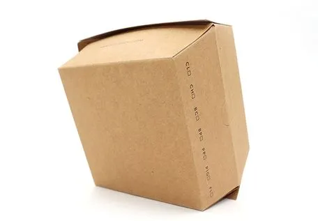 Oil-Resistant Dust-Proof Customized Paper Pulp Burger Box for Theater Viewings