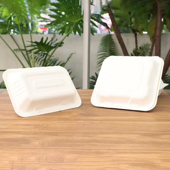 Factory Cheap Wholesale Customized Degradable Food Grade Disposable Takeaway Sushi Food Package Delivery Bagasse Box