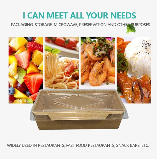 Factory Wholesale Custom Printing Transparent Window Eco-Friendly Food Grade Cardboard Toast Wedge Container Paper Sandwich Sushi Cake Box with Clear Lid