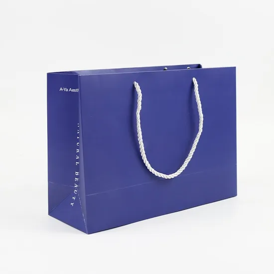 Custom Luxury Clothing Packaging Shopping Gift Paper Bag with Your Own Logo Paper Bag