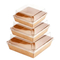 Factory Wholesale Custom Printing Transparent Window Eco-Friendly Food Grade Cardboard Toast Wedge Container Paper Sandwich Sushi Cake Box