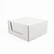 Factory Cheap Custom Print Wholesale Luxury Biodegradable Aircraft Packaging Corrugated Printed Shoe Cloth Scarf Shipping Gift Storage Cardboard Airplane Box