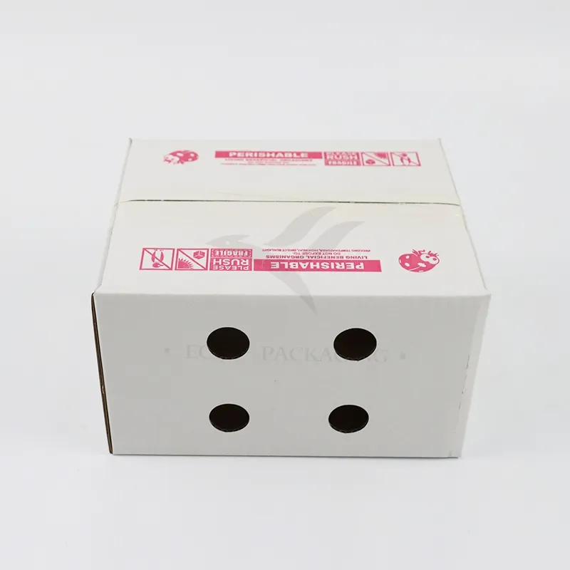 Factory Cheap Wholesale Customized Size Printing Logo Eco-Friendly Recyclable Shoe Gift Fruit Vegetable Packaging Delivery Shipping Corrugated Kraft Paper Box