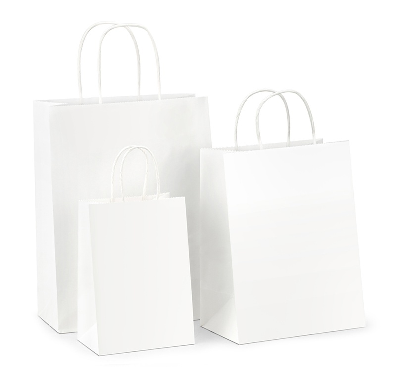 High Quality Plain Kraft Paper Custom Logo Paper Bags Bio-Degradable Paper Bag