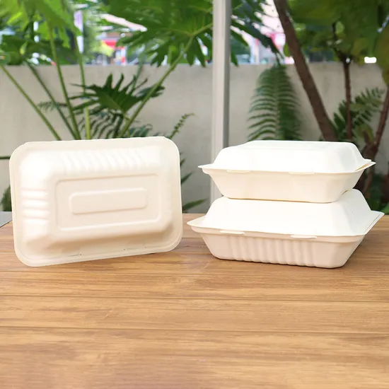 Custom Biodegradable Sugarcane Bagasse Microwaveable Clamshell 6X6 8X8 9X9 9X6 Inch Mealfood Packaqing Container Lunch Box