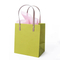 Custom Printed Laminated Shopping Gift Packaging Paper Bag with Logo
