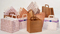 Biodegradable Gift Kraft Paper Bag Shopping Packaging Bag Small Bags for Gift