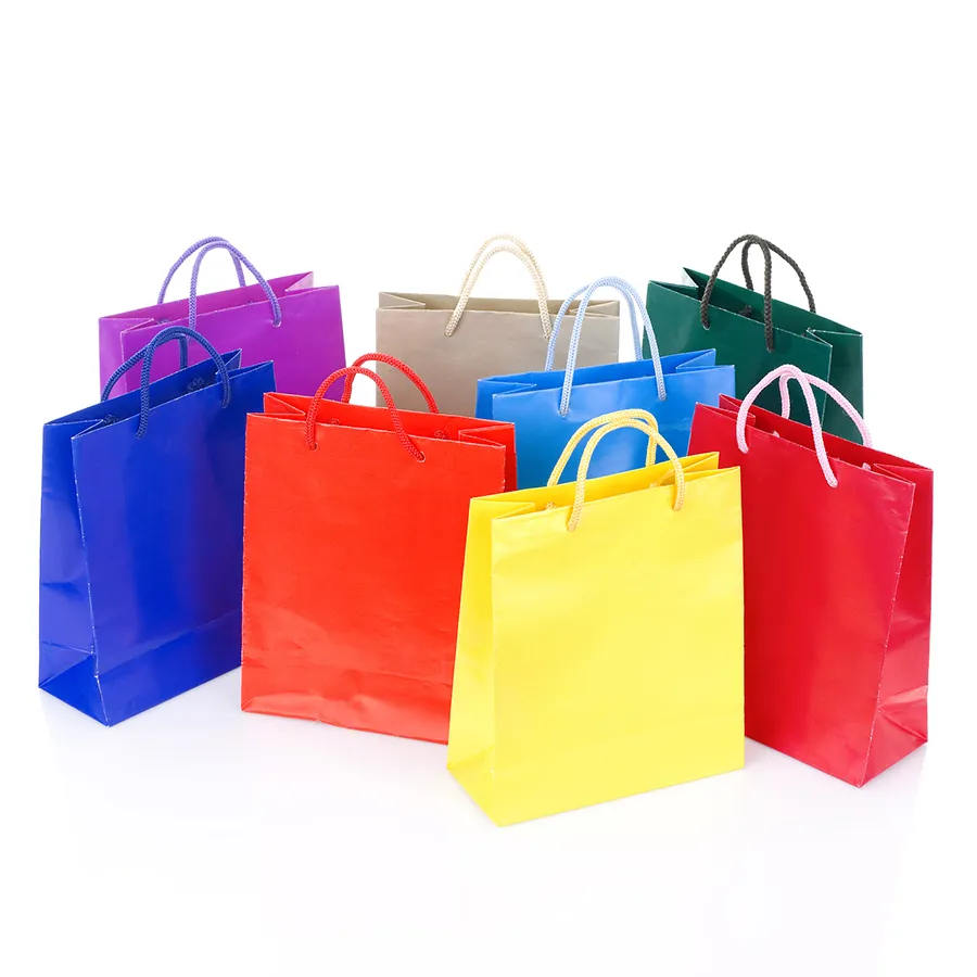 Clothing Shopping Bag with Handles Paper Bag with Logo Print Custom Personalized Custom Paper Bag