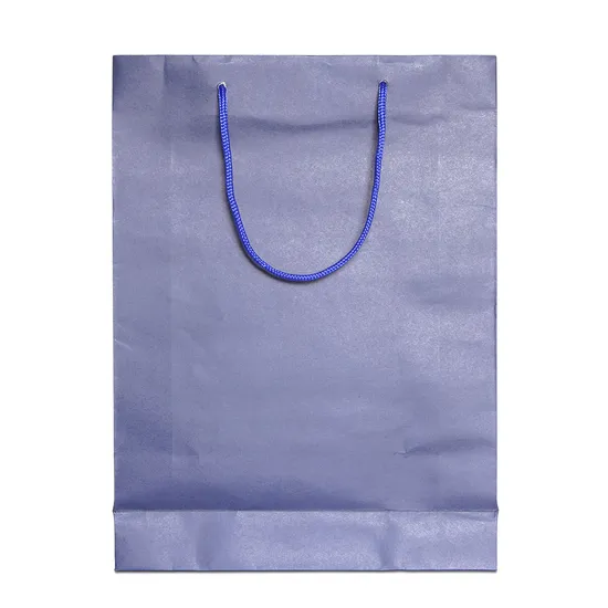 Printed Biodegradable Gift Shopping Bags with Handle, Packaging Brown Kraft Paper Bag