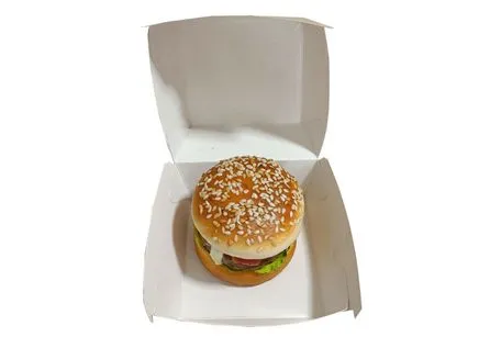 Multi-Function Design Heat-Resistant Customized Biodegradable Hamburger Box for Fast Food Restaurants