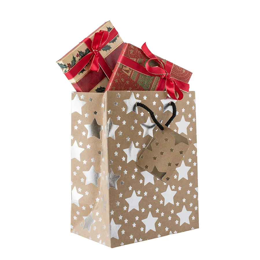 Factory Wholesale Custom Print Luxury Degradable Packaging Shopping Christmas Gift Kraft Cardboard Paper Bag with Handle