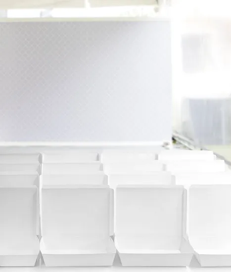 Wholesale Customized Food Grade Takeaway Sushi Fried Chicken Chips Burger Container Disposable Kraft White Cardboard Paper Food Packing Box with Lid