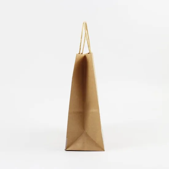 Customized Personalized Packaging Kraft Paper Bag for Shopping