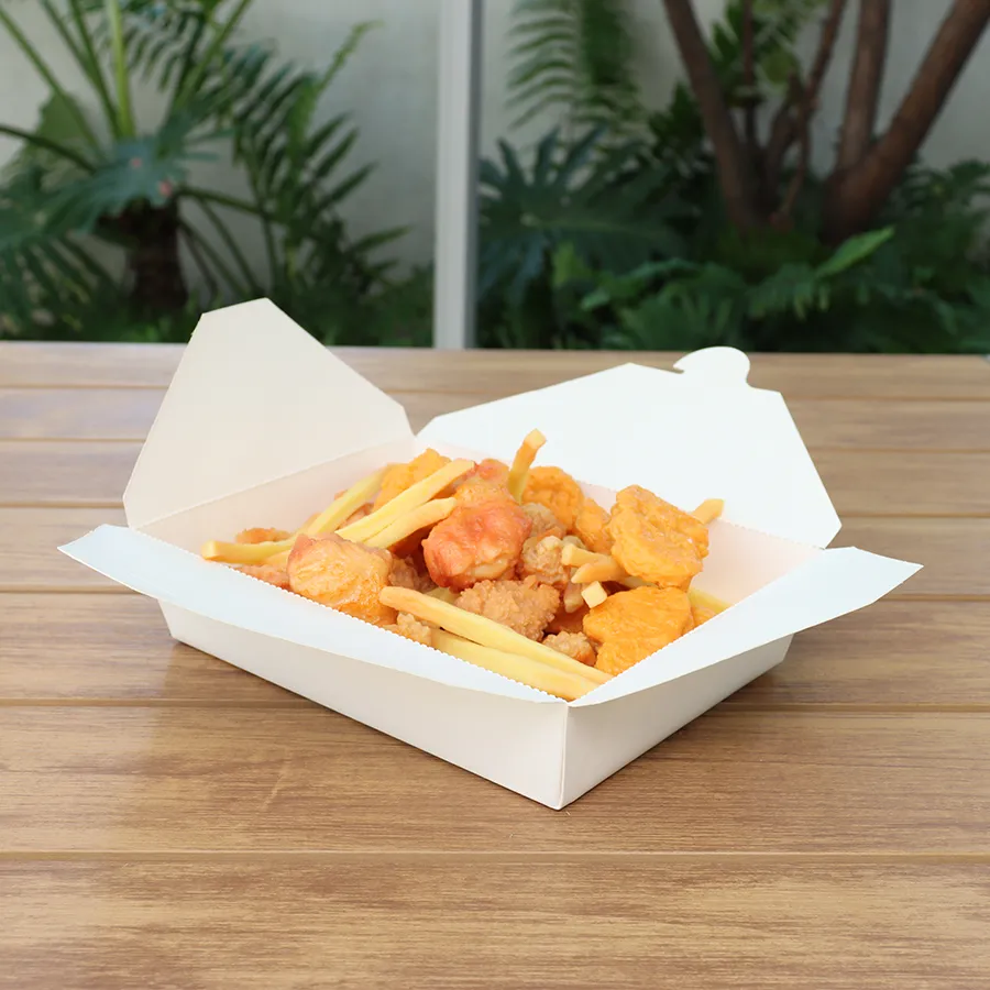 Take Away Box/Pizza Packing Box/Food Paper Packing Box/Disposablesalad Food Packaging/Lunch Box/Custom Cardboard Packaging Box