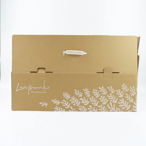 Factory Wholesale Custom Printing Eco-Friendly Recyclable Corrugated Printed Logo Food Vegetable Fruit Cardboard Packaging Delivery Shipping Kraft Paper Boxes