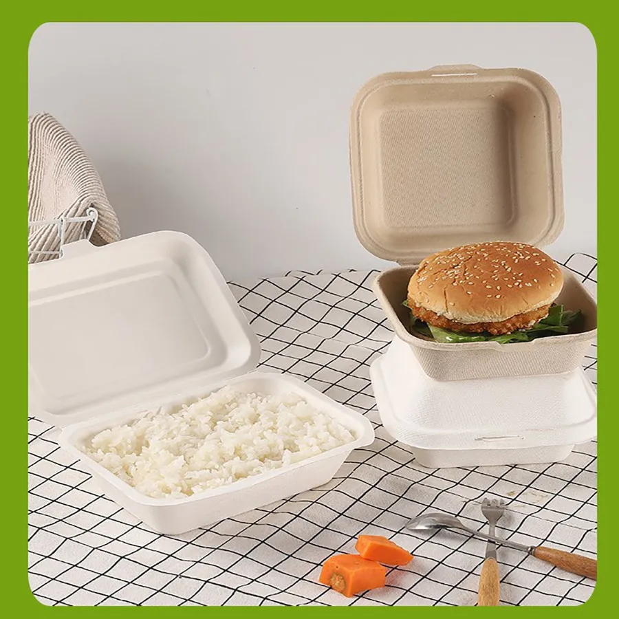 Custom Biodegradable Sugarcane Bagasse Microwaveable Clamshell 6X6 8X8 9X9 9X6 Inch Mealfood Packaqing Container Lunch Box