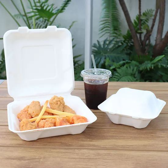 Custom Biodegradable Sugarcane Bagasse Microwaveable Clamshell 6X6 8X8 9X9 9X6 Inch Mealfood Packaqing Container Lunch Box