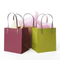 Custom Printed Laminated Shopping Gift Packaging Paper Bag with Logo