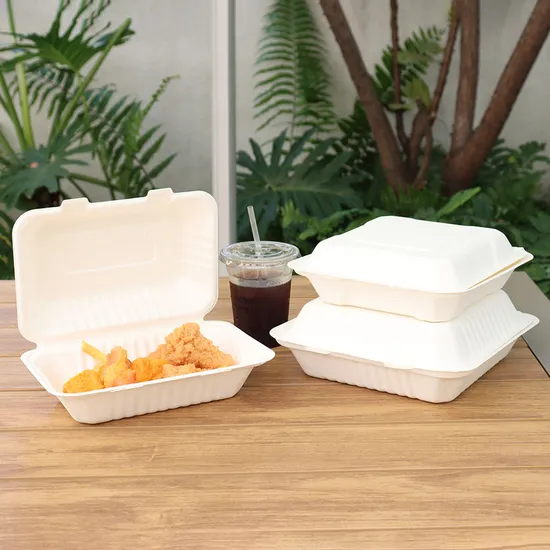 Sugarcane Bagasse Biodegradable Sushi Takeaway Box Rectangular Disposable Food Packing for Fast Food