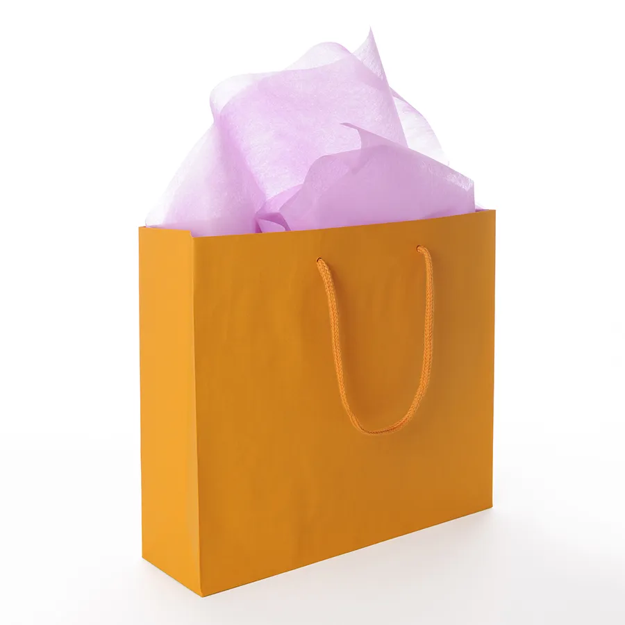 Customized Recycled Brown Waterproof Portable Handbag with Kraft Paper Bag
