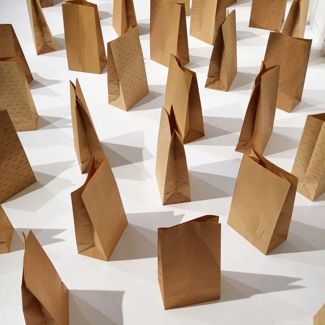 Custom Square Bottom Bio-Degradable Paper Gift Shopping Bags Brown Kraft Paper Bag