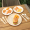 Factory Direct Sale Eco-Friendly Bagasse Tray Food Tray Biodegradable Food Tray