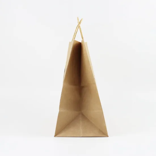 Luxury Gift Bag Custom Paper Packaging Shopping Bag