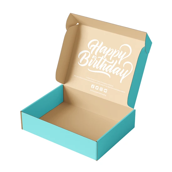 Wholesale Luxury Eco-Friendly Aircraft Packaging Customized Color Vegetable Fruit Paper Corrugated Printed Logo Shoe Cloth Shipping Gift Packaging Cardboard Box