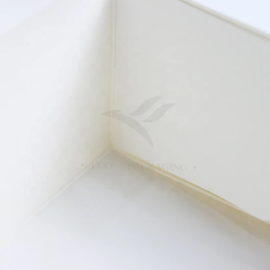 Wholesale Luxury Eco-Friendly Aircraft Packaging Customized Color Vegetable Fruit Paper Corrugated Printed Logo Shoe Cloth Shipping Gift Packaging Cardboard Box
