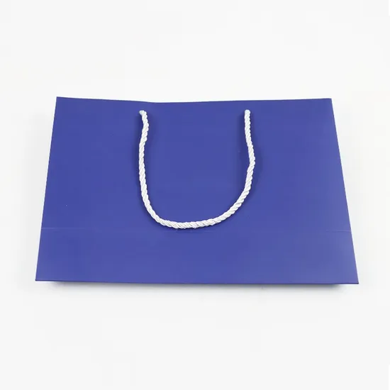 Custom Luxury Clothing Packaging Shopping Gift Paper Bag with Your Own Logo Paper Bag