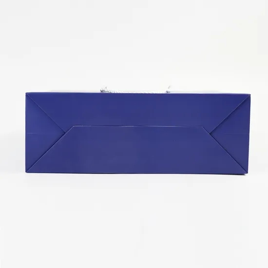 Luxury Boutique Shopping Packaging Tote Paper Gift Bags with Logo