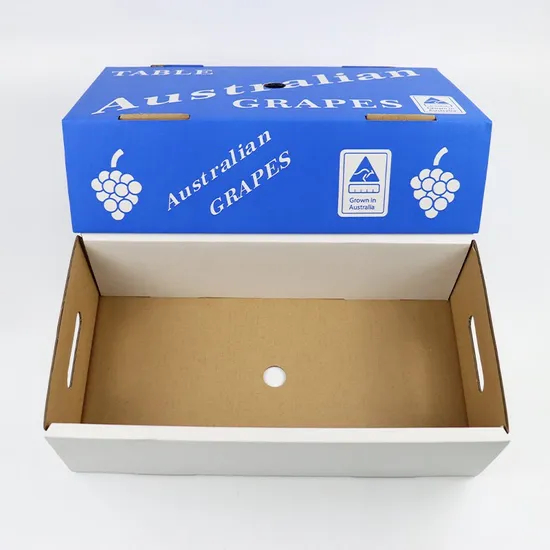 Customized Paper Be Flute Corrugated Archive Storage Shipping Carton with Custom Printing