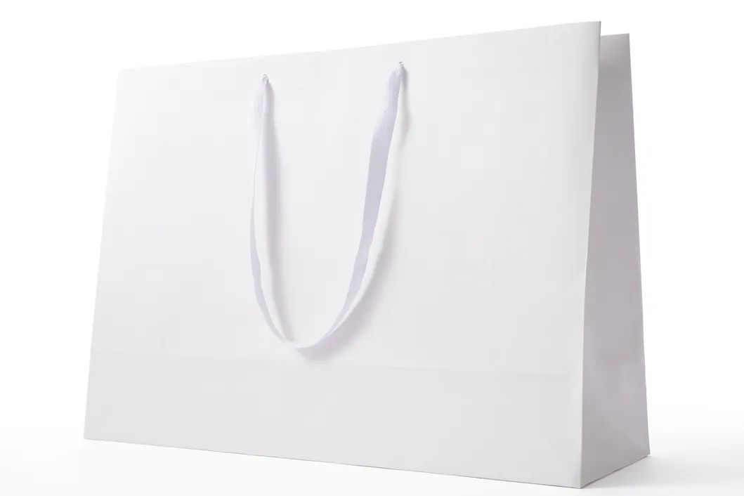 Paper Bag with Logo Print Custom Clothing Shopping Bag Waterproof Gift Bags Luxury