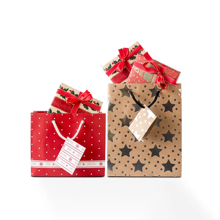 Christmas Bags for Gift Recyclable Kraft Paper Bag Holiday Gift Packaging Bag Manufacturers