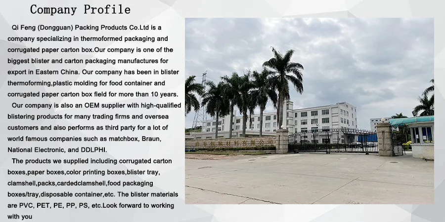 Factory Wholesale Bio-Degradable Bagasse Bento Box Sugar Cane Box for Burger Takeaway Packaging